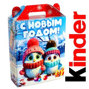 Детский подарок на Новый Год в жестяной упаковке весом 830 грамм по цене 3297 руб в Кузнецке